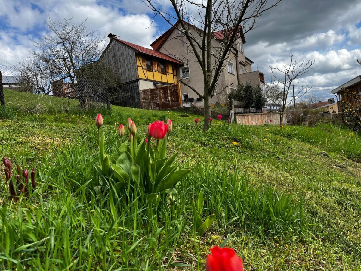 Ferienwohnung Kipsenblick Kreischa Exterior foto